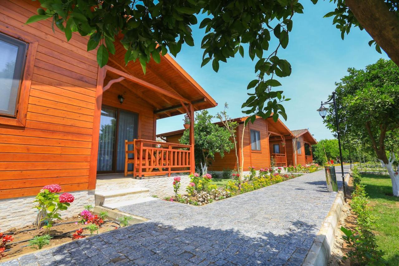 Merry Bungalow & Tent Çıralı Esterno foto